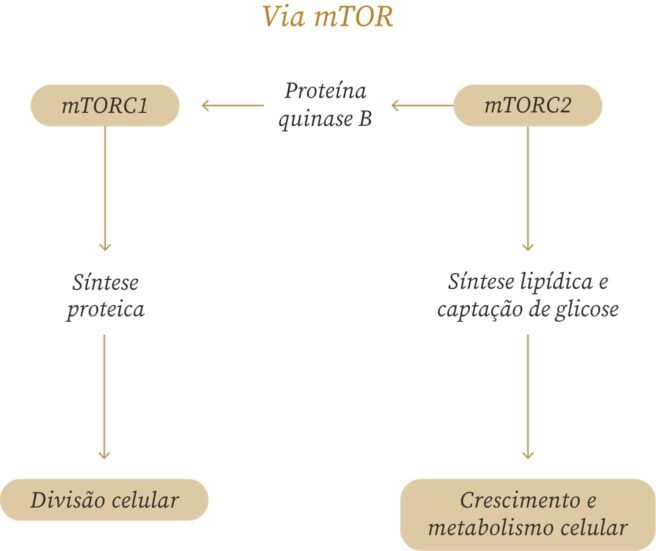 tabela-via-mtor-1