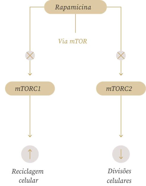 tabela-via-mtor-2